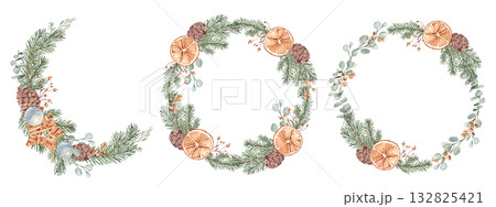 Christmas Wreaths, circle frames set. Winter plants and dry orange slices. Hand drawn Botanical Illustration of Fir Branches, Eucalyptus, Pine Cones and Berries isolated on white background. For 132825421