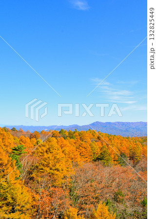 メルヘン街道 峠から見る山々とカラマツ の紅葉 メルヘン街道 峠から見る山々とカラマツ の紅葉 132825449