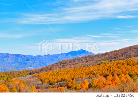 メルヘン街道 峠から見る山々とカラマツ の紅葉 132825450