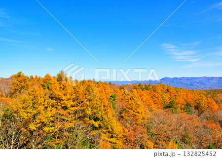 メルヘン街道 峠から見る山々とカラマツ の紅葉 132825452