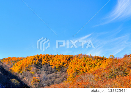 メルヘン街道 峠から見る山々とカラマツ の紅葉 132825454