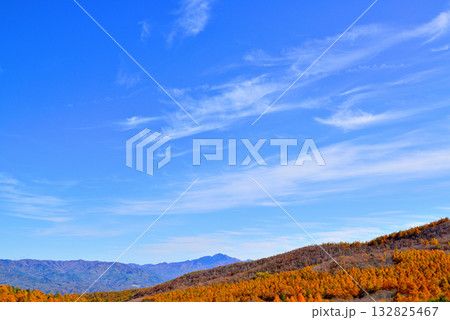 メルヘン街道 峠から見る山々とカラマツ の紅葉 メルヘン街道 峠から見る山々とカラマツ の紅葉 132825467