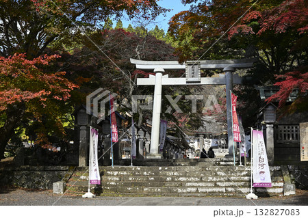 南湖神社 南湖神社 132827083