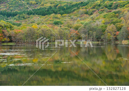 映る紅葉 映る紅葉 132827128