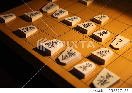 将棋の第73期王座戦第5局の投了棋譜 将棋の第73期王座戦第5局の投了棋譜 132827188