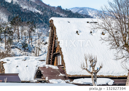 白川郷 雪に埋もれる和田家 132827394