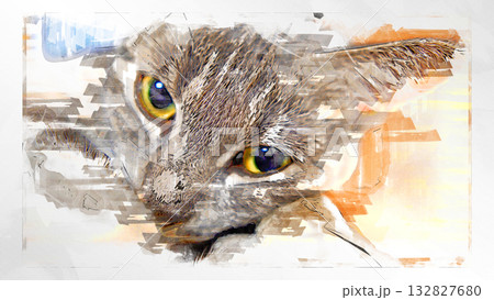 スケッチ風 猫 ネコ ねこ キジトラ グレー 雌 メス 雌ねこ 雌ネコ 元気 かわいい 癒し 132827680