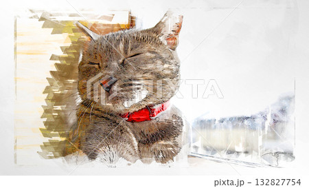 スケッチ風 猫 ネコ ねこ キジトラ グレー 雌 メス 雌ねこ 雌ネコ 元気 かわいい 癒し スケッチ風 猫 ネコ ねこ キジトラ グレー 雌 メス 雌ねこ 雌ネコ 元気 かわいい 癒し 132827754