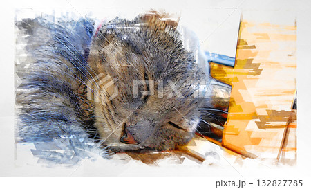 スケッチ風 猫 ネコ ねこ キジトラ グレー 雌 メス 雌ねこ 雌ネコ 元気 かわいい 癒し スケッチ風 猫 ネコ ねこ キジトラ グレー 雌 メス 雌ねこ 雌ネコ 元気 かわいい 癒し 132827785