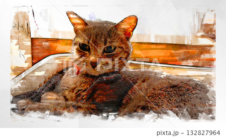 スケッチ風 猫 ネコ ねこ キジトラ グレー 雌 メス 雌ねこ 雌ネコ 元気 かわいい 癒し 132827964
