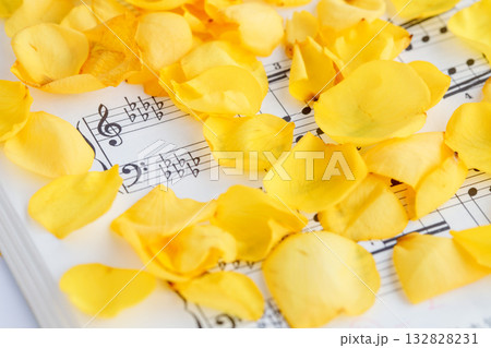 ピアノの楽譜の上に広がる黄色の薔薇の花びら 132828231