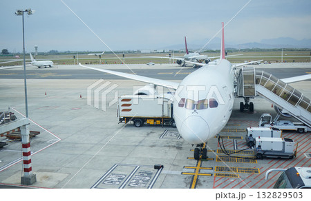 Airplane, airport or loading luggage for traveling outdoors on runway at worldwide location for journey. Trip, transportation services or commercial aeroplane on ground for international flight cargo Airplane, airport or loading luggage for traveling outdoors on runway at worldwide location for journey. Trip, transportation services or commercial aeroplane on ground for international flight cargo 132829503