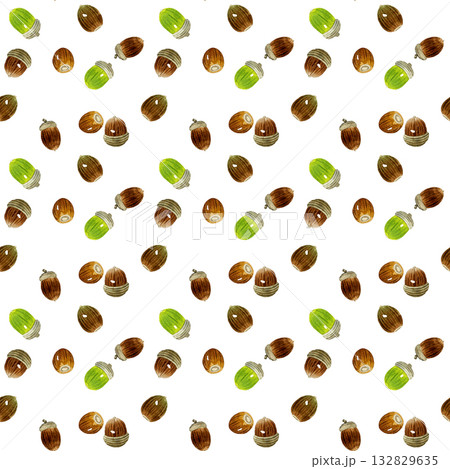 どんぐりのシームレスパターン 秋の植物の手描き水彩イラスト背景素材 どんぐりのシームレスパターン 秋の植物の手描き水彩イラスト背景素材 132829635