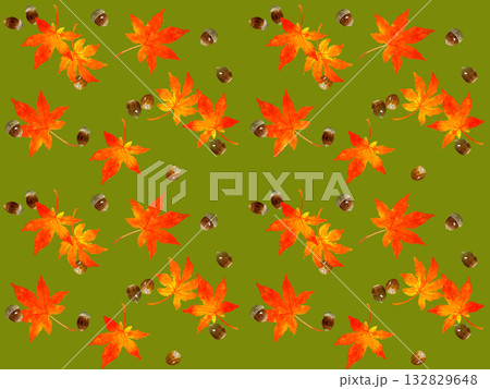 紅葉したもみじの葉っぱとどんぐりのシームレスパターン 秋の植物の手描き水彩イラスト背景素材 紅葉したもみじの葉っぱとどんぐりのシームレスパターン 秋の植物の手描き水彩イラスト背景素材 132829648