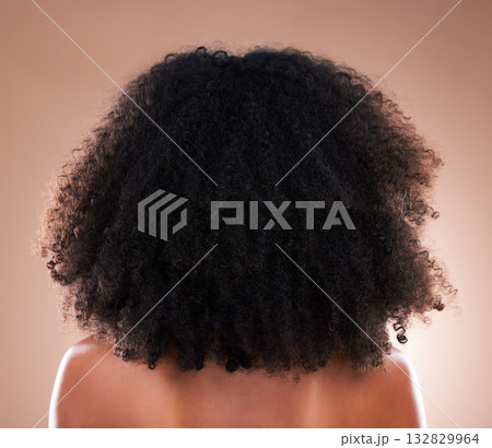 Natural hair, black woman with afro and beauty, haircare and cosmetics with back on studio background. Female, cosmetic treatment with curly hairstyle, rear view and texture with hygiene and grooming 132829964