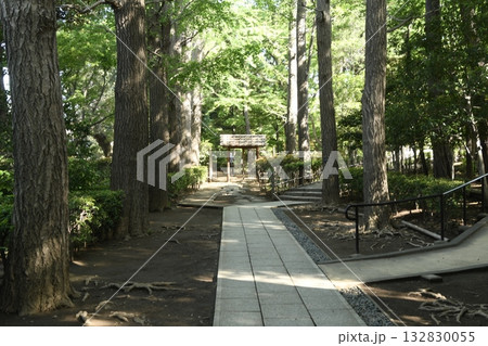太田黒公園の門 太田黒公園の門 132830055