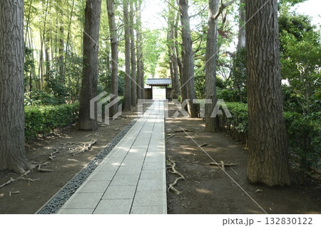 太田黒公園の門 132830122