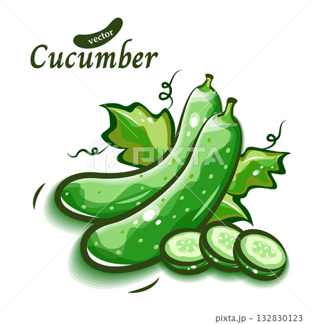 きゅうりの新鮮で可愛いイラスト｜ポップアートな野菜シリーズ 132830123