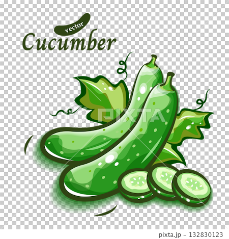 きゅうりの新鮮で可愛いイラスト｜ポップアートな野菜シリーズ 132830123
