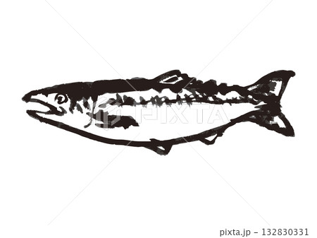 鮭　墨絵　イラスト 132830331