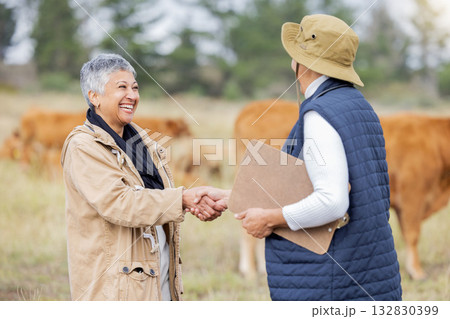 Farm, handshake and teamwork with a woman in agriculture saying thank you to a colleague for sustainability. Farming, shaking hands and collaboration with a cattle farmer women in partnership Farm, handshake and teamwork with a woman in agriculture saying thank you to a colleague for sustainability. Farming, shaking hands and collaboration with a cattle farmer women in partnership 132830399
