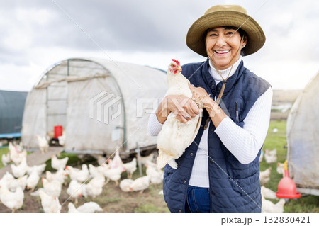 Chicken farming, woman and agriculture garden on field, environment or countryside. Portrait of happy worker, poultry farmer and animal birds of sustainability, eggs production or food trade industry 132830421