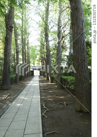太田黒公園の門 太田黒公園の門 132830719