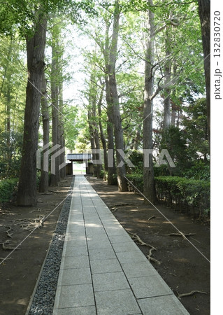 太田黒公園の門 132830720