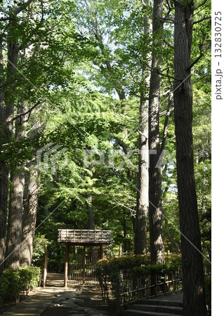 太田黒公園の門 太田黒公園の門 132830725