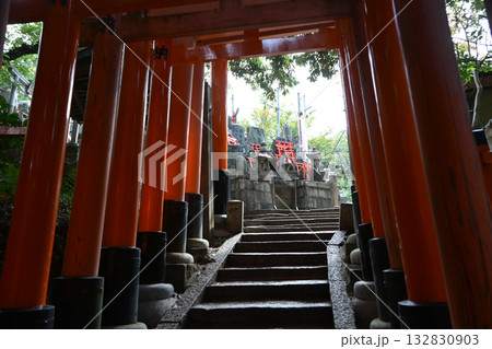 伏見稲荷大社の千本鳥居(京都府) 伏見稲荷大社の千本鳥居(京都府) 132830903