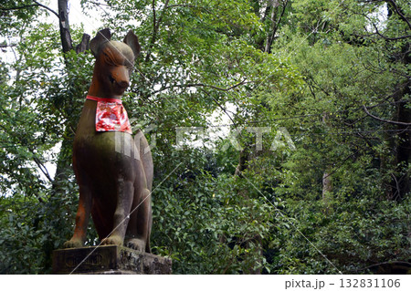 伏見稲荷大社のお稲荷様(京都府) 132831106