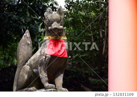 伏見稲荷大社のお稲荷様(京都府) 132831109