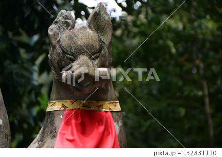 伏見稲荷大社のお稲荷様(京都府) 伏見稲荷大社のお稲荷様(京都府) 132831110