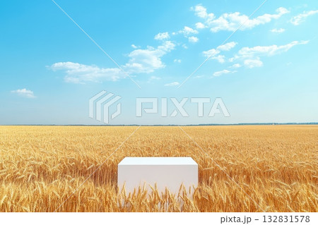 Vast Golden Wheat Field Under a Clear Blue Sky with Clouds in the Background Vast Golden Wheat Field Under a Clear Blue Sky with Clouds in the Background 132831578