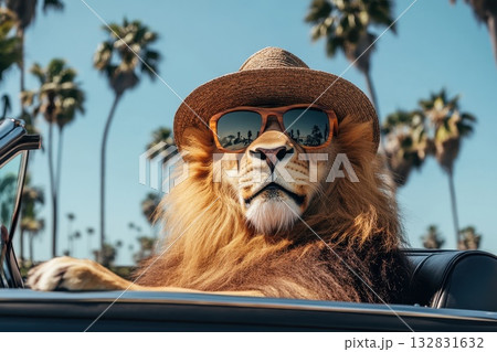 A lion is sitting in a car with sunglasses on and a hat on his head 132831632