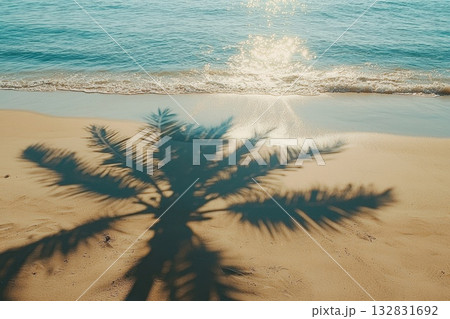 Gentle Waves Lapping at Sandy Shore with Palm Tree Shadow Beneath Bright Sunlight 132831692