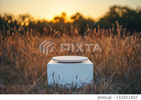 Tranquil Meadow at Dusk Bathed in Golden Light with a Minimalist White Object 132831802