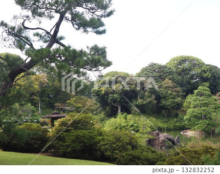 秋分を迎えた六義園の風景 秋分を迎えた六義園の風景 132832252