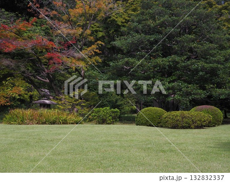 秋分を迎えた六義園の風景 132832337