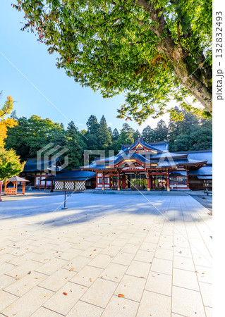 秋の盛岡八幡宮 岩手県盛岡市 秋の盛岡八幡宮 岩手県盛岡市 132832493