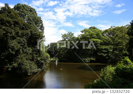 和田堀公園 和田堀公園 132832720