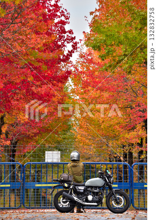 《愛知県》長久手市 愛知県農業総合試験場の紅葉したモミジバフウ並木とバイク 《愛知県》長久手市 愛知県農業総合試験場の紅葉したモミジバフウ並木とバイク 132832758
