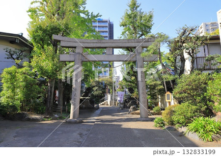 河原稲荷神社　鳥居　足立区千住河原町　　 132833199