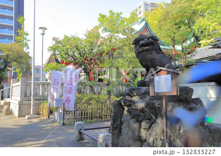 河原稲荷神社 狛犬と拝殿 足立区千住河原町 河原稲荷神社 狛犬と拝殿 足立区千住河原町 132833227