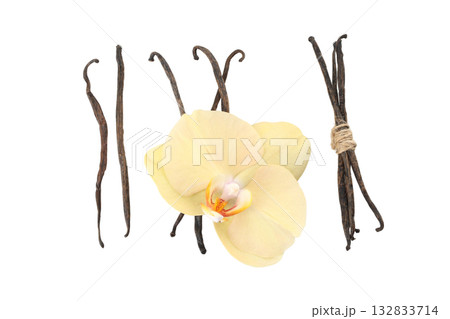Yellow orchid and vanilla on white, isolated on white, PNG 132833714
