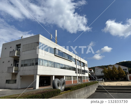 青空に映える大学キャンパス 青空に映える大学キャンパス 132833730