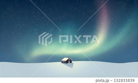 オーロラと星が降る静寂な雪の家 132833839
