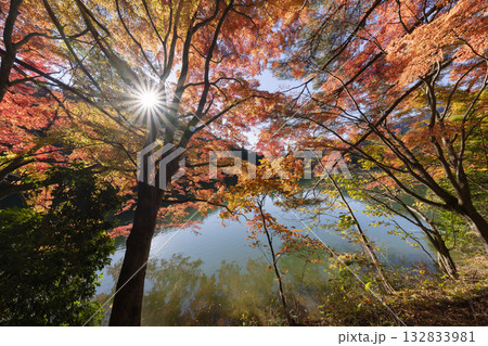 南伊奈ヶ湖の紅葉 南伊奈ヶ湖の紅葉 132833981