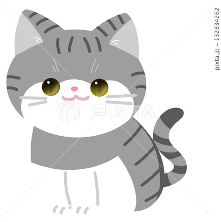 お座りしているキジトラ猫 132834262