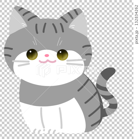 一隻坐著的虎斑貓 132834262